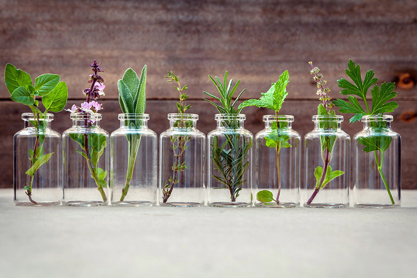 آروماتراپی, روغنهای گیاهی, روغنهای پایه, هنر آروماتراپی, تاریخچه آروماتراپی
