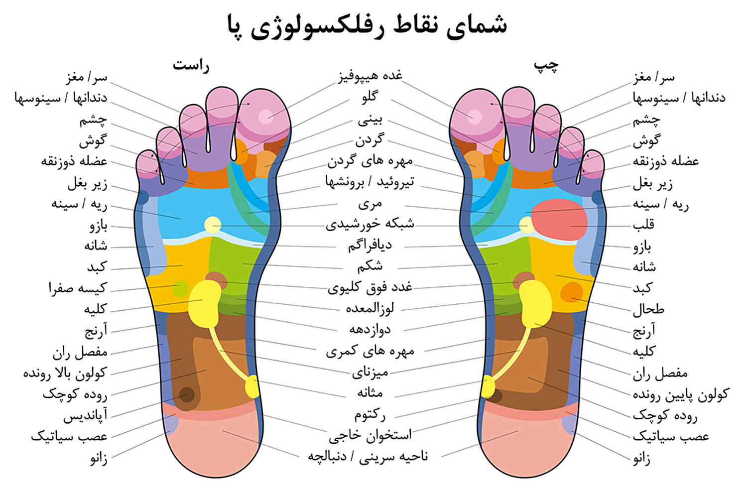 ماساژ رفلکسولوژی