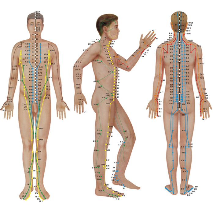 سوجک, سوجک‌تراپی, درد شدید در ناحیه گردن, بذردرمانی سوجک,  نقاط فشاری, رنگ‌درمانی, جریان انرژی حیات, 